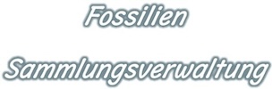 Fossilien Sauter